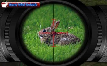 Animal Hunt Sniper Shooter截图4