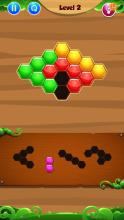 Hexagon Box Puzzle Game!截图4