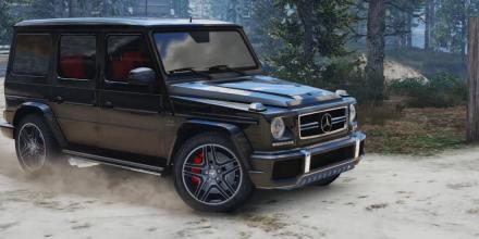 G65 模拟器 AMG 2017截图1