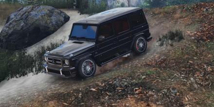 G65 模拟器 AMG 2017截图3