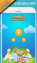 Animal sounds+pictures App For kids截图5