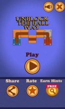 Unblock Ball Puzzle ™截图1