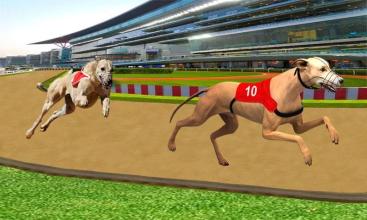 Ultimate Dog Racing截图3