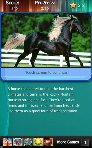 Horse Breeds and Pony Quiz HD截图5