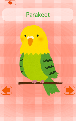 Bird Concentration (card game)截图3