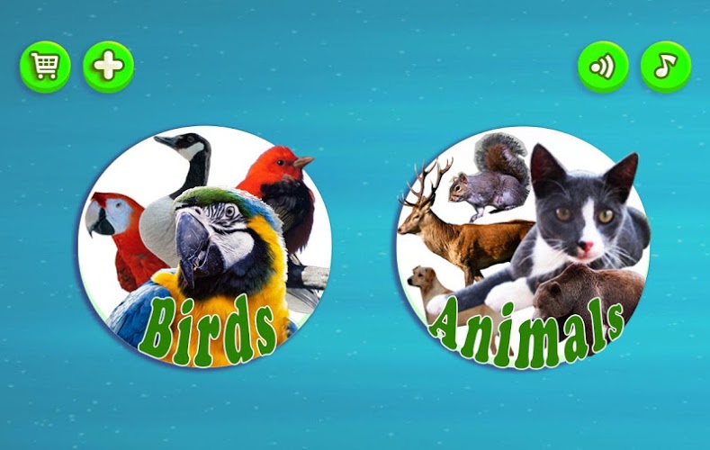 Animals & Birds : Real sound截图4