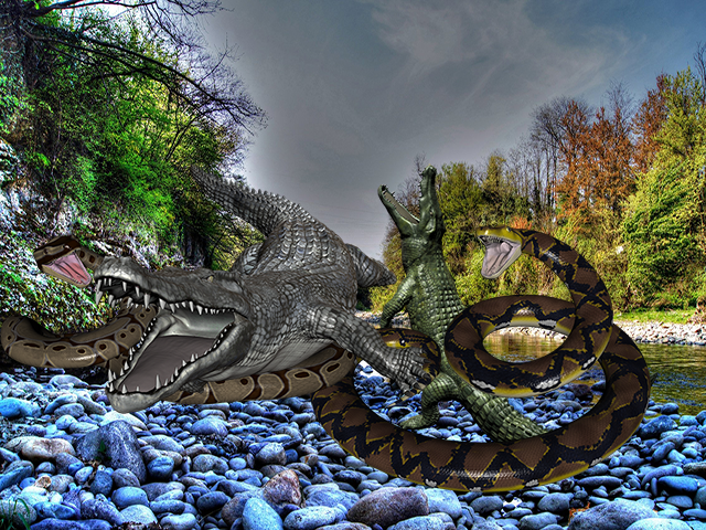 Anaconda Crocodile Battle截图3