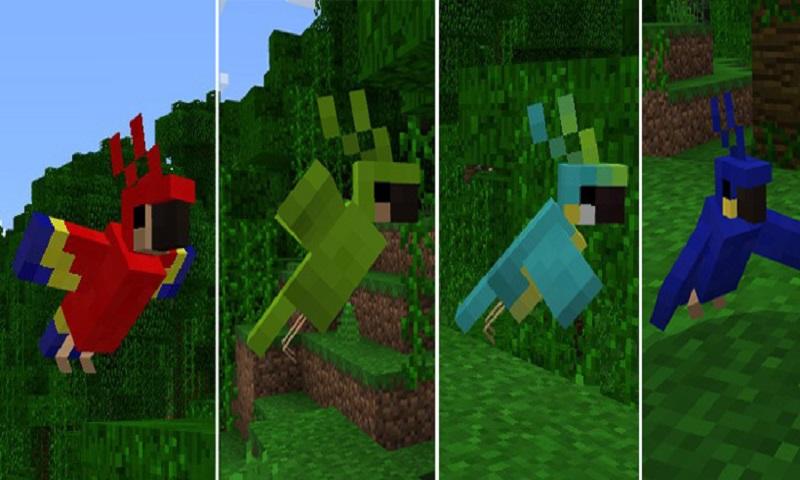 Mod Parrots for MCPE截图3