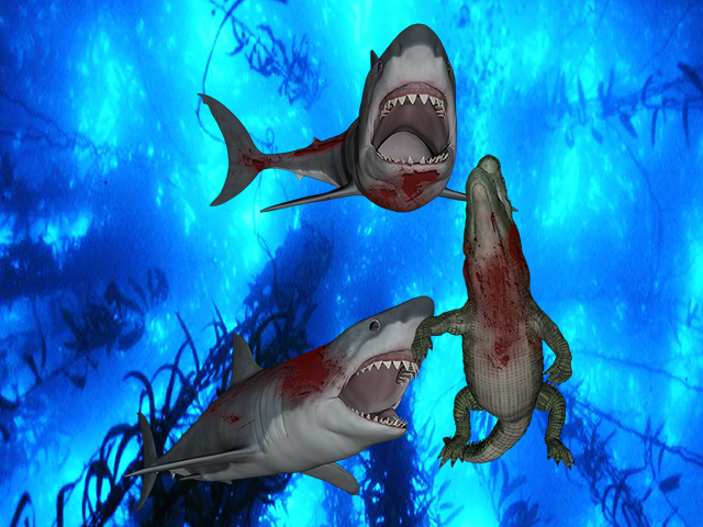 Shark Crocodile Fight截图2