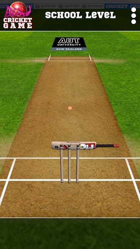 Blind Cricket截图2