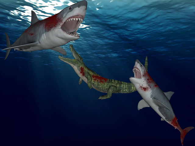 Shark Crocodile Fight截图1