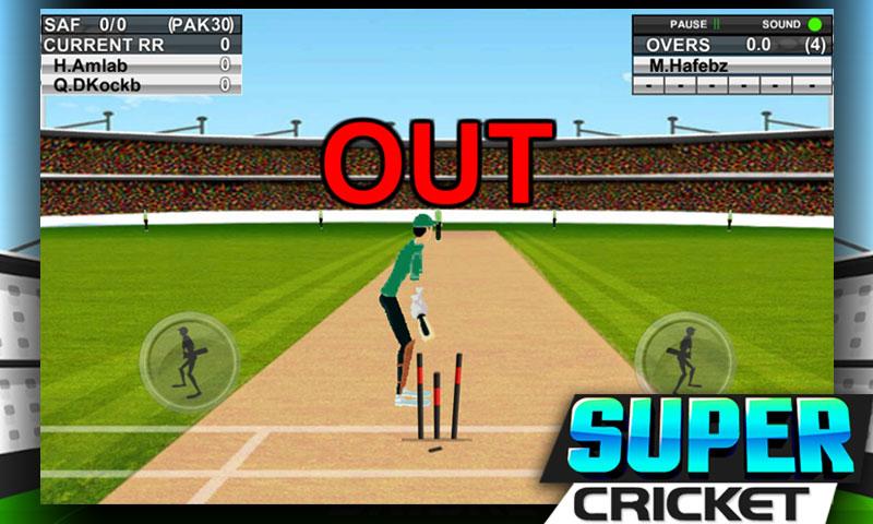 Super Cricket Championship截图4