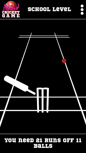 Blind Cricket截图4