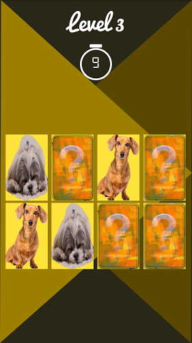 dog memory game截图4