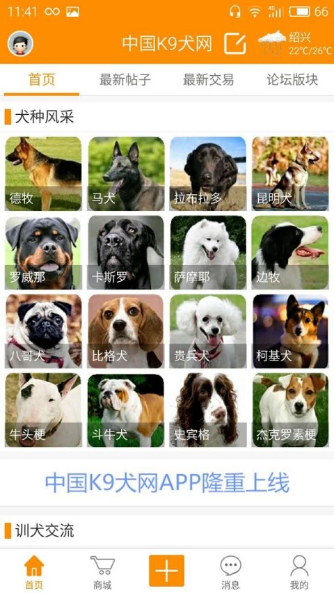 中国K9犬网截图2