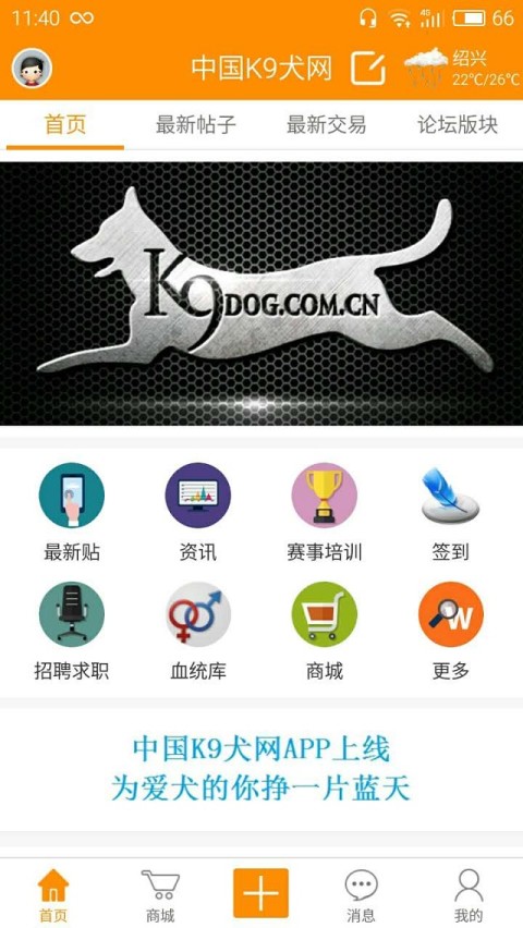 中国K9犬网截图1