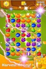 Fruits Candy Links Mania截图3