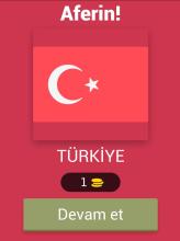 Ülke Bayrakları Testi截图5