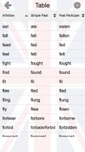 Learn English Irregular Verbs截图2