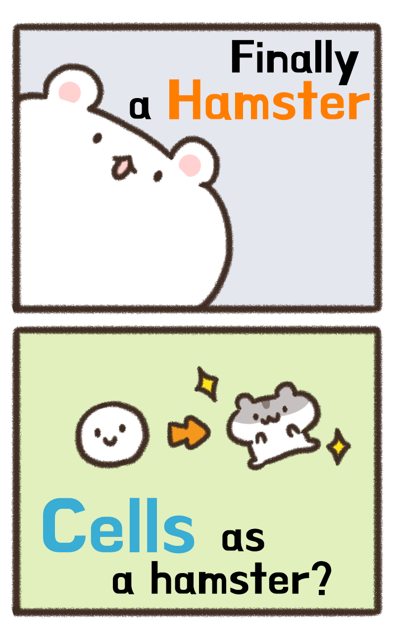 Hamster x Hamster截图1