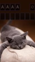 Solitaire Cute Cats Theme截图2