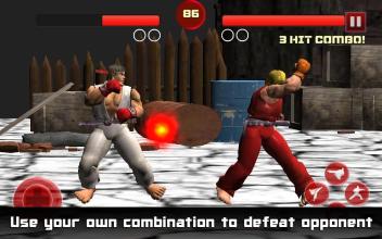 Karate Fighter - Taekwondo Kung fu Tiger Combat 3D截图3