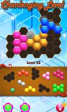 Block Hexa Mania截图2