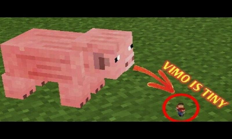 Tiny player addon for MCPE截图3