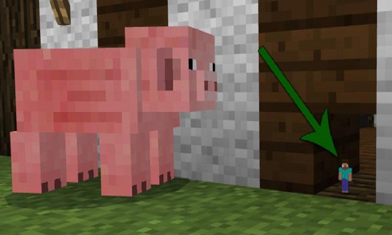 Tiny player addon for MCPE截图1