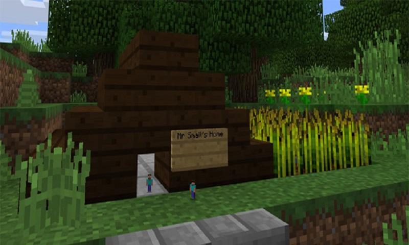 Tiny player addon for MCPE截图2