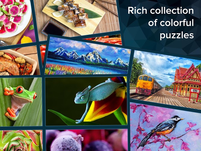 Cool Jigsaw Puzzles截图3