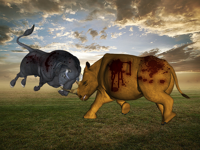 Rhino Buffalo Safari Fight截图1