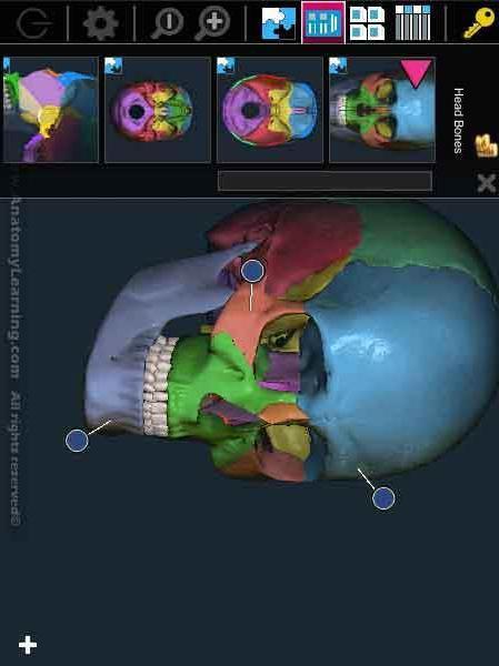 3D解剖学习截图2