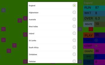Cricket 2截图5
