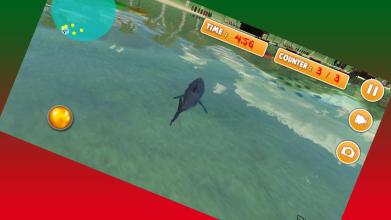 3D Shark Attack Simulator截图5