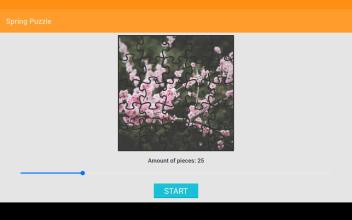 Spring Jigsaw Puzzle截图2