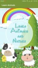 Learn Animals with your baby截图1