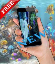 your free fish screen截图2