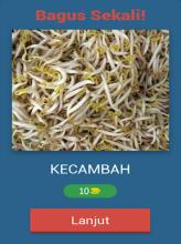 Kuis Tebak Sayuran Dan Bumbu Dapur截图3