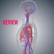 MEDICAL NURSING REVIEW截图3