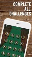 Solitaire Card - Classic Card Feel截图4