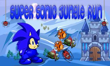 Subway Sonic Adventure Temple Run截图1