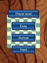 Russian Checkers 3D截图4