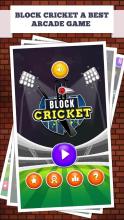 Block Cricket截图1