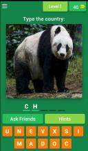 Animal Countries Quiz截图1