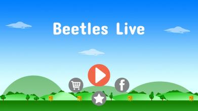 Beetles Live截图1