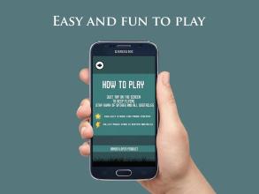 Risky Bird Adventure截图3