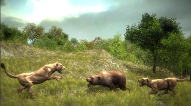 Angry Bear Simulator 3D - Be a Bear Game截图5