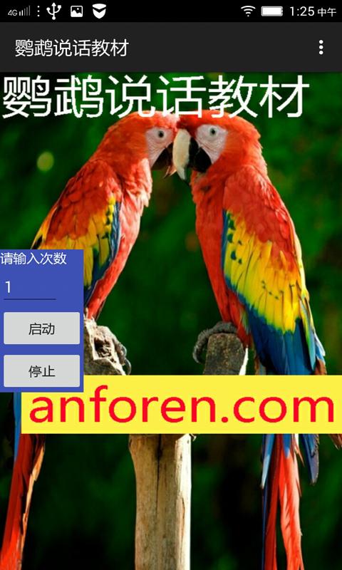 鹦鹉说话教材截图3