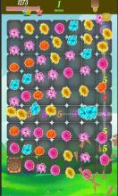 Blossom King Flower截图3